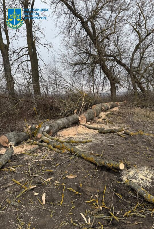 Жителя Війтовецької громади суд покарав за 9 зрізаних дерев