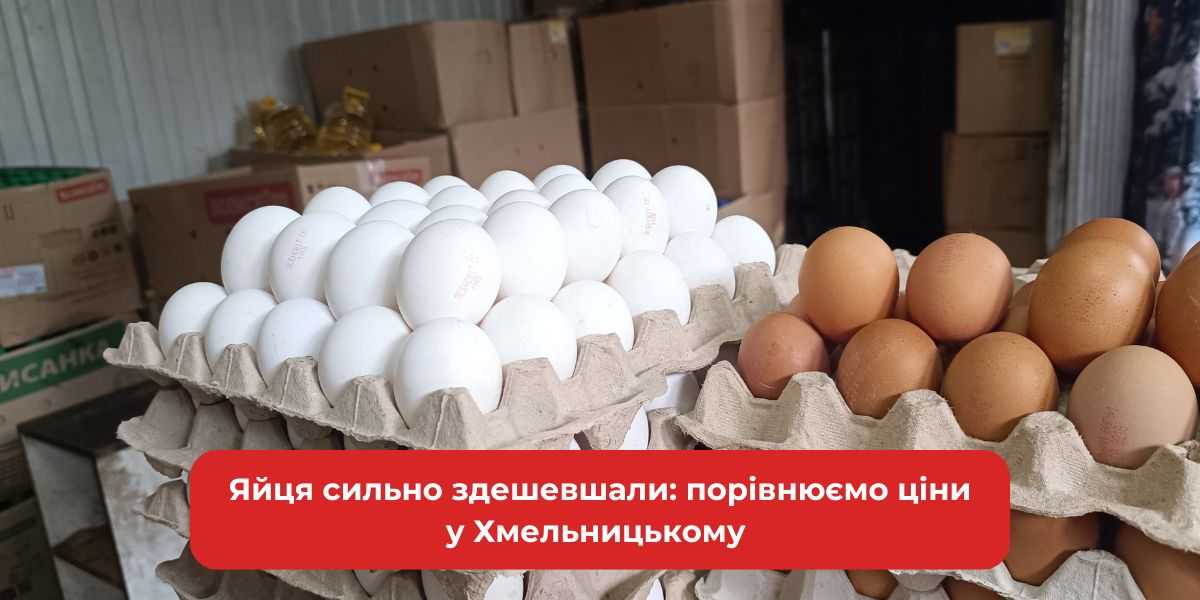 Яйця дешевшають: порівняння цін у Хмельницькому. Дізнайтеся, де найвигідніше купувати!