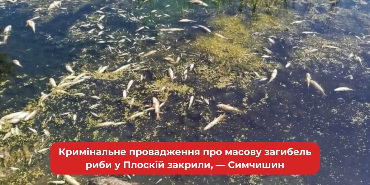 Кримінальне провадження щодо масової загибелі риби у Плоскій закрито, — Симчишин.