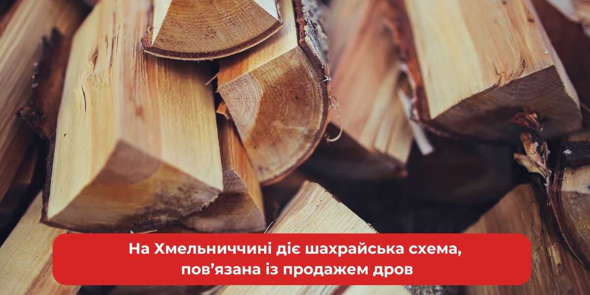 На Хмельниччині: схема з продажу дров виявилася шахрайством.