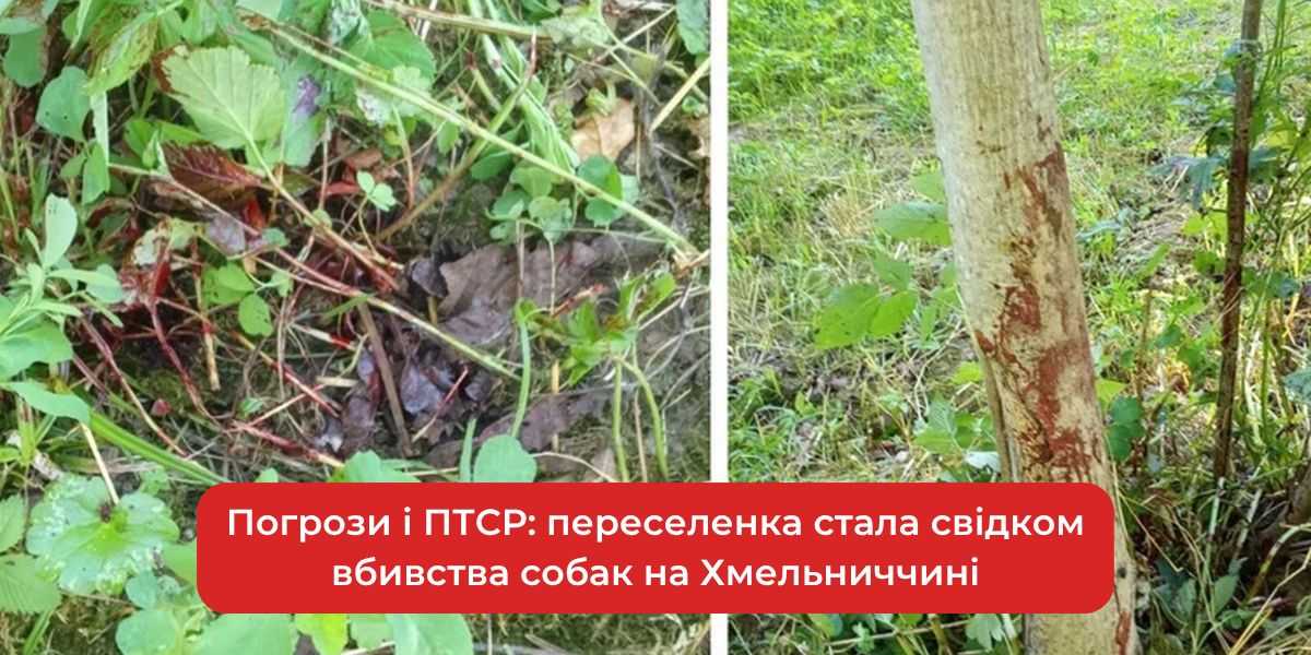 Погрози та ПТСР: переселенка пережила свідчення вбивства собаки на Хмельниччині